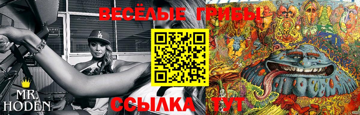 Галлюциногенные грибы мицелий Кушва
