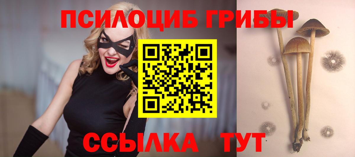магазин продажи   Галлюциногенные грибы ЛСД  Псилоцибиновые грибы прущие грибы  Вход с VPN  Кушва 